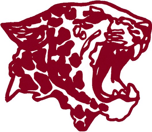 Lafayette Leopards 1986-1999 Primary Logo iron on transfers for fabric